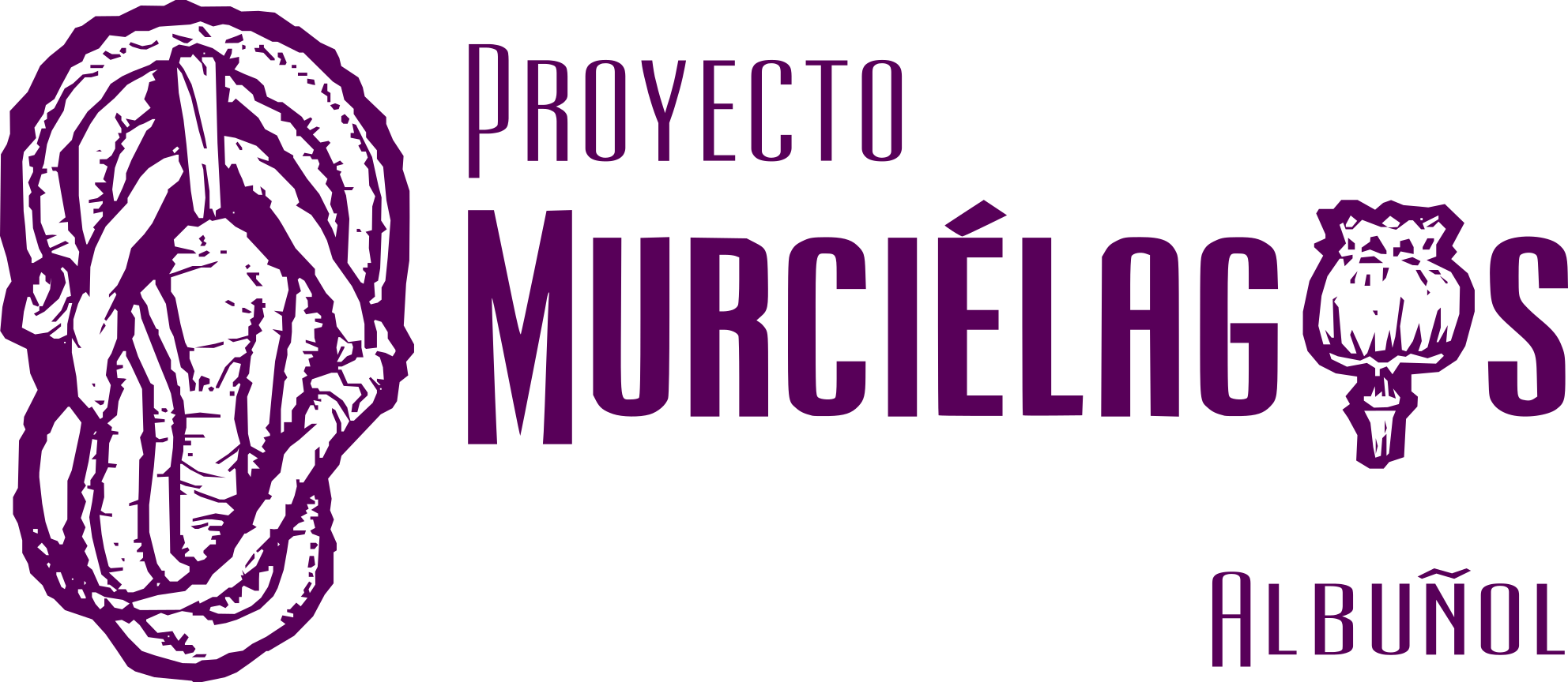 proyectoMurcielagos